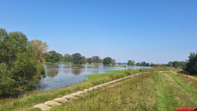 Monitorują i pakują worki z piaskiem. Powiat górowski przygląda się Odrze