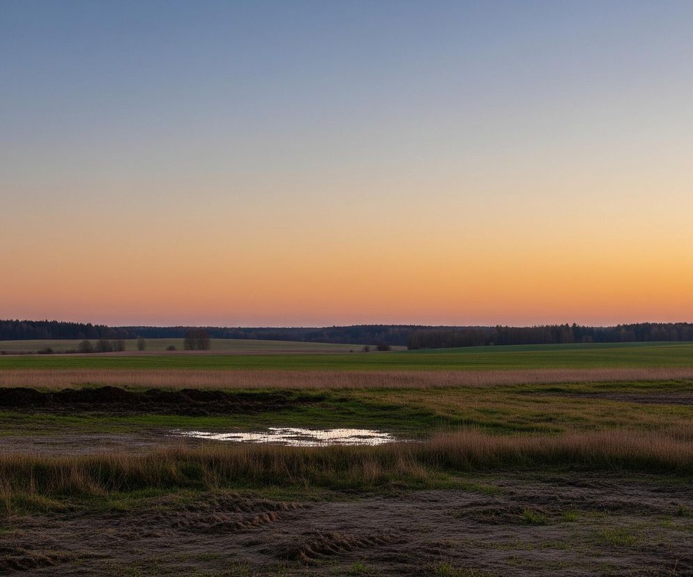 Rozległe pole rozciąga się w kierunku horyzontu, z dominującymi odcieniami zieleni i brązu traw i upraw. Na pierwszym planie po lewej stronie znajduje się ciemna, nieregularna hałda ziemi, a obok niej mała kałuża, w której odbija się światło zachodzącego słońca. W prawym dolnym rogu widoczny jest pionowy, biały słupek, wyróżniający się na tle roślinności. Horyzont wyznacza ciemny pas lasu, a nad nim rozpościera się gradientowe niebo, przechodzące od jasnoniebieskiego u góry, przez delikatny szary, aż do ciepłego pomarańczu i różu tuż nad linią lasu.