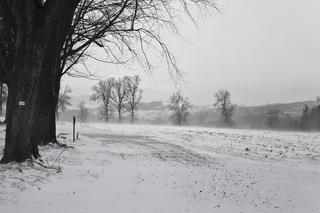 Roztopy i wichury do 55 km/h. Synoptycy IMGW wydali alerty dla Podkarpacia  