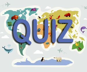 QUIZ. Przypomnij sobie, co mówiła Czubówna. Na którym kontynencie żyje to zwierzę? Zapoluj, ale na dobre odpowiedzi