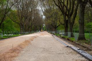 Latarnie w Parku Skaryszewskim