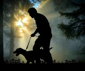 Ostrzeszów: wyprowadzając psa na spacer - pamiętaj o smyczy