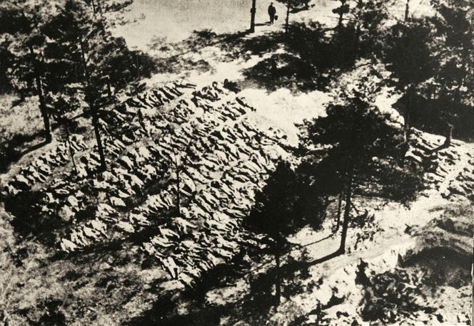 Ekshumowane ciała polskich oficerów, niemi świadkowie sowieckiej zbrodni, Katyń 1943.