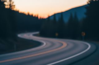 Ryś zginął w Tatrach. Czy kierowcy są wystarczająco ostrożni?