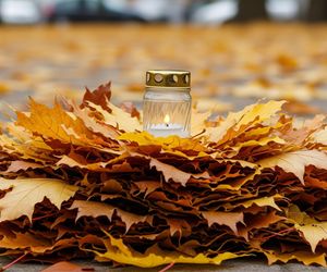 Akcja Znicz za liść w Gru.jpg