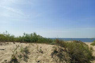 Rezerwat Mewia Łacha