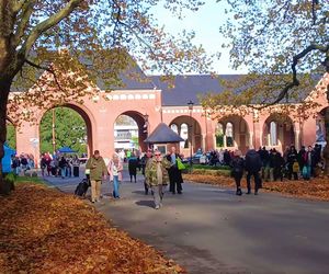 1 listopada na Cmentarzu Centralnym w Szczecinie