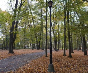 Park Lubomirskich w Białymstoku jesienią 