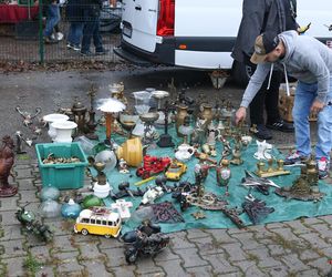 Prawdziwe perełki na Jarmarku Staroci w Bytomiu. Było z czego wybierać