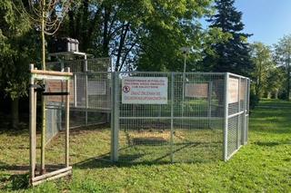 Odłownia park Maćka i Doroty