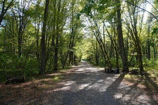 Las Zwierzyniecki i Park Konstytucji 3 Maja