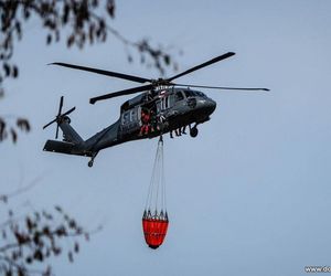 Wrocław. Ćwiczenia na terenie Portu Lotniczego im. Mikołaja Kopernika [ZDJĘCIA].