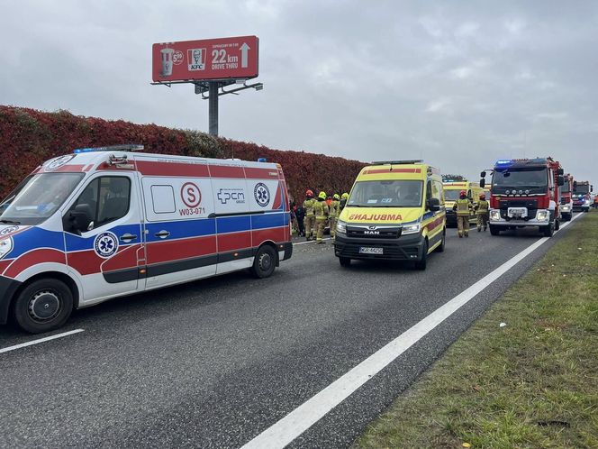 Wypadek busa na S7 pod Grójcem. 11 osób rannych, w akcji śmigłowiec LPR