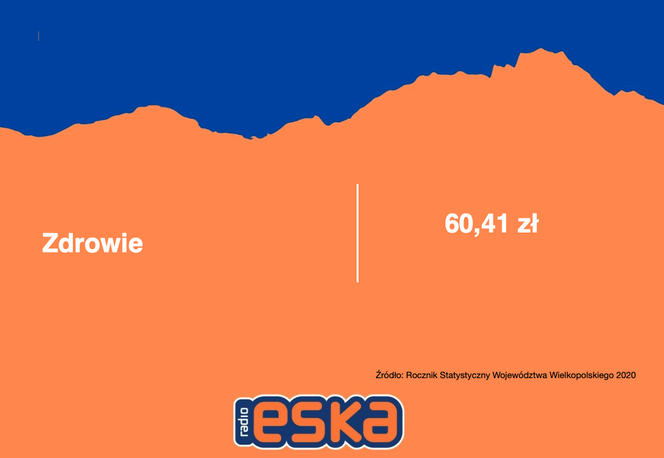 Wielkopolska: Na co wydajemy najwięcej pieniędzy?