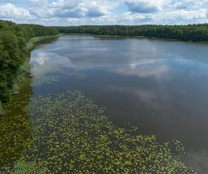 Tragiczna śmierć 15-letniego harcerza pod Wolsztynem