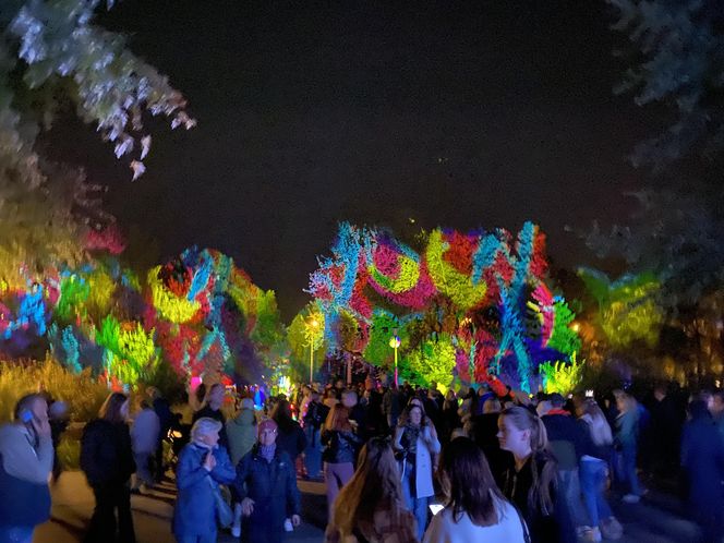 Light Move Festival 2025