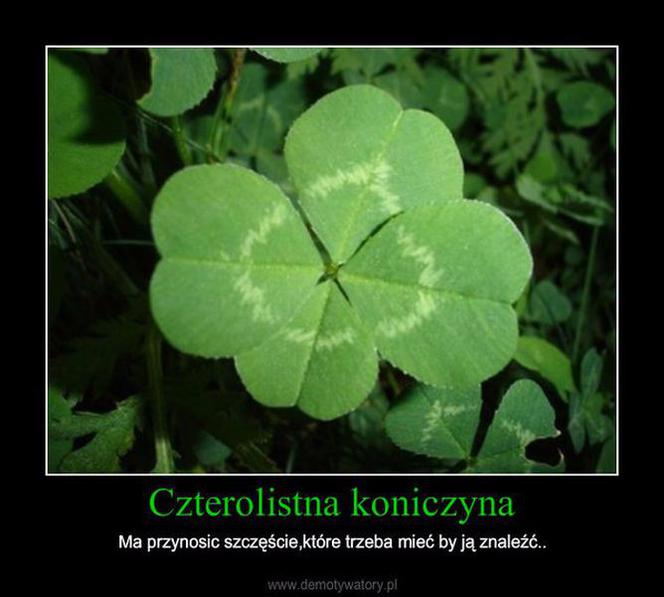 Dzień Świętego Patryka 