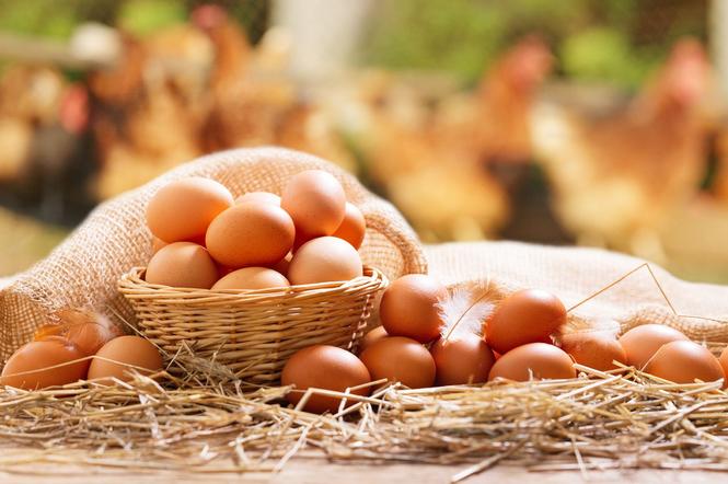 Prawdopodobne podwyżki cen jaj. Dlaczego jajka mogą zdrożeć?