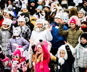 Nietypowy rekord pobity w Tarnobrzegu. Setki osób przebrało się za... króliki 