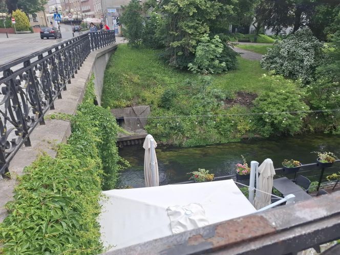 W tym mieście poczujesz się jak w Wenecji. Włoski klimat na północy Polski