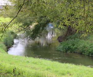 Jesienna odsłona terenów nad Bystrzycą w Lublinie. Tak się prezentuje w październiku