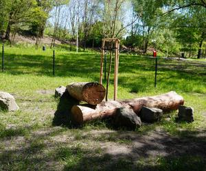 Tak wygląda park w dolinie Ślepiotki w Katowicach