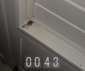 Aleksandra Żebrowska