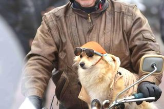 Nika motocyklistka z Sandomierza