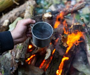 Survival: Lekcja przetrwania w niespokojnych czasach