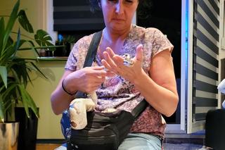 Pyton wszedł do mieszkania emerytki. Kobieta pokonała go poduszką