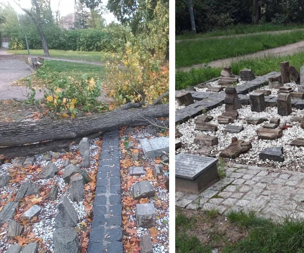 Drzewo zniszczyło lapidarium w Starym Fordonie. Zapytaliśmy miasto o stan pozostałych drzew na ul. Cechowej