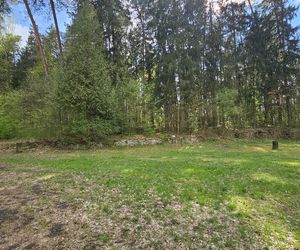 Stadion Leśny w Olsztynie dawniej i dziś. To tam bito rekordy świata w lekkiej atletyce