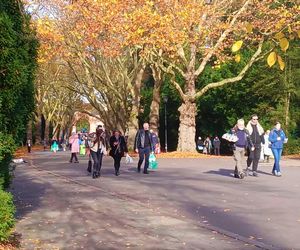 1 listopada na Cmentarzu Centralnym w Szczecinie