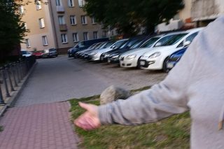 Adam Niedzielski pobity