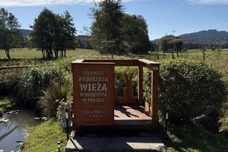 To najniższa wieża widokowa w Polsce. Ma 20 cm wysokości!