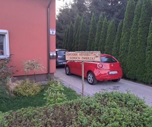 Mieszkańcy gminy Kuślin uratowali bociana