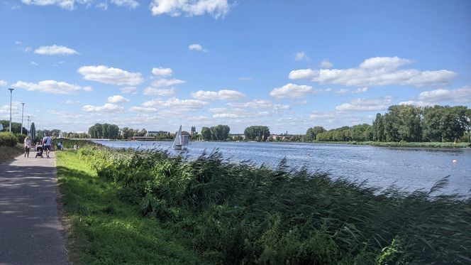Jezioro Maltańskie 