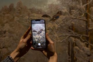 Ta wystawa w Muzeum Narodowym w Warszawie przyciąga tłumy. Witkacy i Picasso mogą się schować