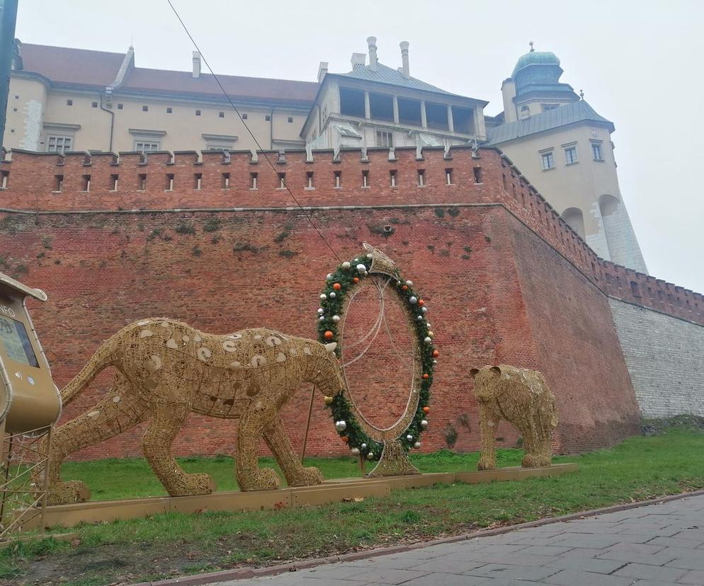 Świąteczne iluminacje w Krakowie. Kiedy w mieście pojawią się ozdoby bożonarodzeniowe?