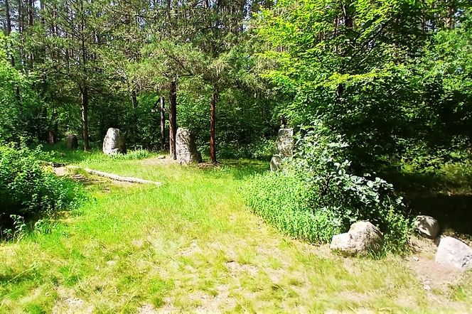 Leśny cmentarz rodu von Ramin