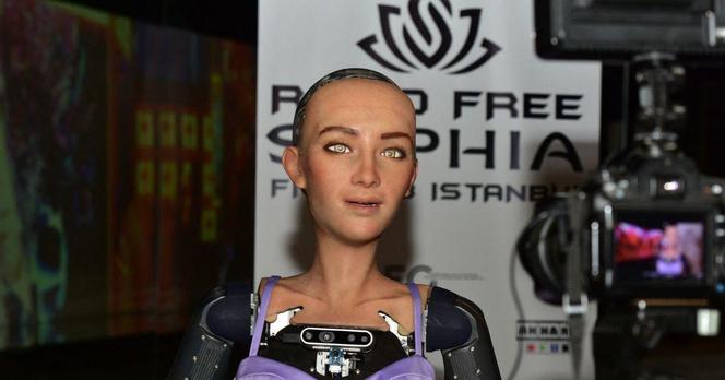 Sophie The Robot 