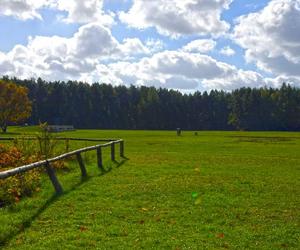 Zobacz jak wygląda największy park miejski w Polsce