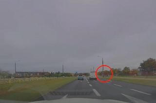 Kierowca dostał rekordowy mandat za to, co wyprawiał. Właśnie w takich sytuacjach giną piesi na pasach 