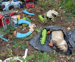 Zgroza w lesie pod Świeciem! Martwy pies w worku foliowym ze związanymi łapami. Policja szuka sprawcy bestialskiego czynu