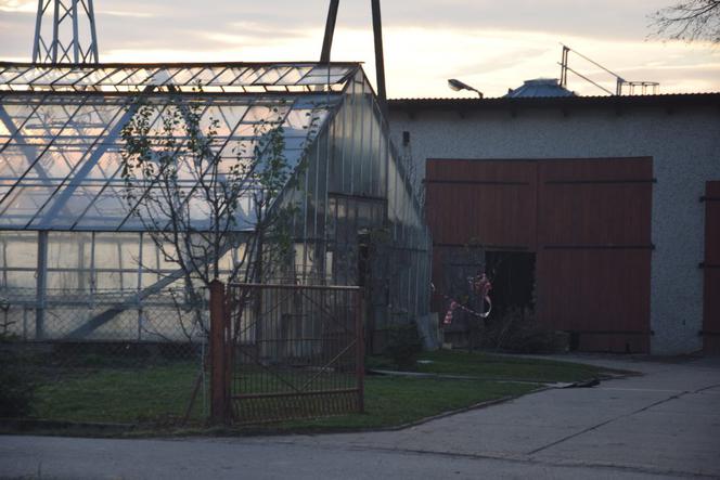 Rozrzutnik zmielił rolnika