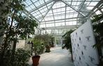 Nowa oranżeria w Ogrodzie Botanicznym UJ. Zastąpiła poprzedniczkę z XIX wieku 