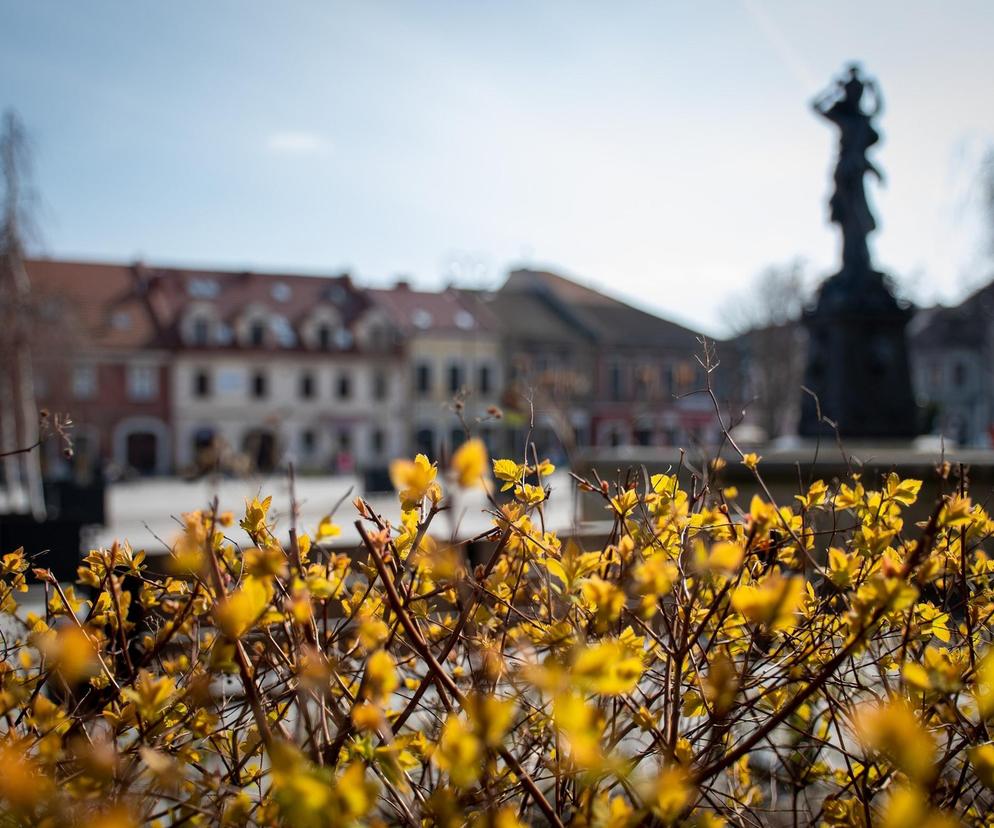 10. Powiat myślenicki