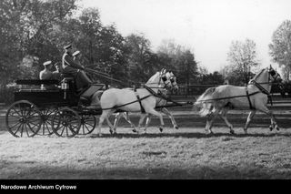 Ta wieś zostanie miastem. Zobacz jej archiwalne zdjęcia