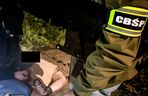 CBŚP rozbiło gigantyczną fabrykę leków