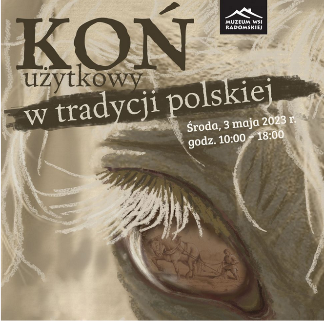 Majówka w siodle. To możliwe w Muzeum Wsi Radomskiej